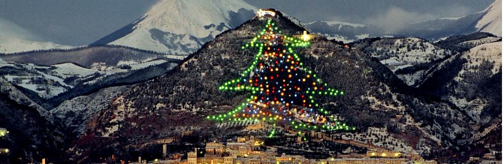 L'albero di Natale più grande del mondo